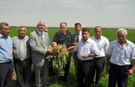 Yer fıstığı üretiminde Gaziantep, Osmaniye’nin tahtına göz dikti