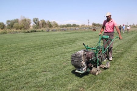 Yerli çim üreticisi dışa bağımlılığı azalttı