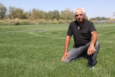 Yerli çim üreticisi dışa bağımlılığı azalttı