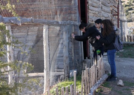 Yerli ve yabancı öğrenciler Lisinia'yı gezdi