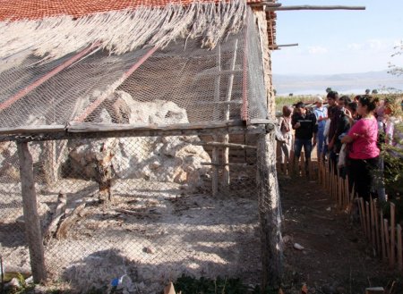 Yerli ve yabancı öğrenciler Lisinia'yı gezdi