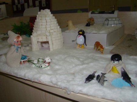 Yeryüzündeki farklı yaşamları sergilediler