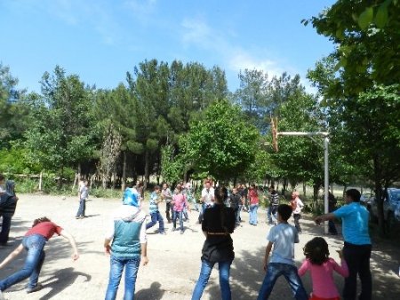 Yeşil Derik Okuma Salonu'ndan öğrencilere piknik keyfi