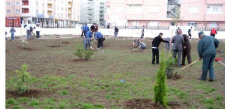 Yeşil Dostları Plaketle Ödüllendirildi