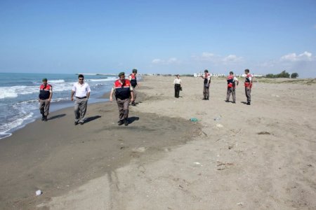 Yeşil kaplumbağaya Mehmetçik koruması