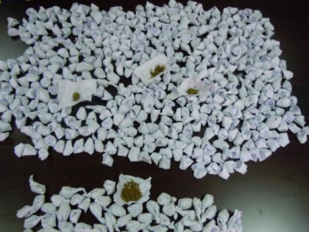 Yılbaşı 'fişek'lerine polis baskını