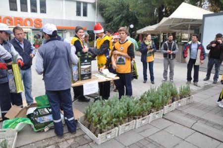 Yılbaşı için ağaç kesilmesin diye fidan dağıttılar