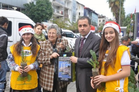 Yılbaşı için ağaç kesilmesin diye fidan dağıttılar