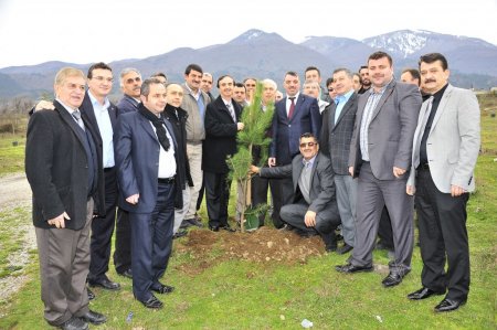 Yıldırım Belediyesi, tarihi Hamamlıkızık’a fidan dikti