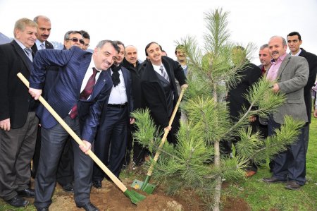 Yıldırım Belediyesi, tarihi Hamamlıkızık’a fidan dikti