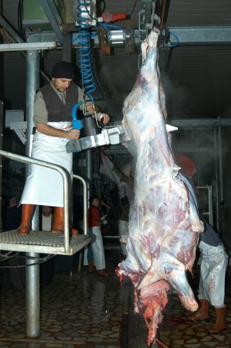 Yıldırım Belediyesi Kurban Bayramı'na hazır