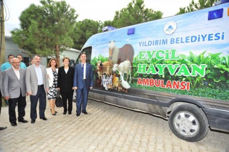 Yıldırım Belediyesi'nden sahipsiz hayvanlar için tedavi merkezi