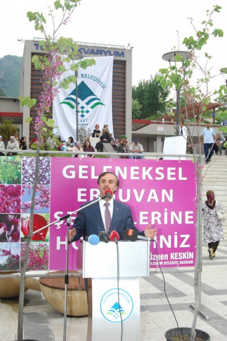 Yıldırım’da Erguvan Çiçekleri Açtı