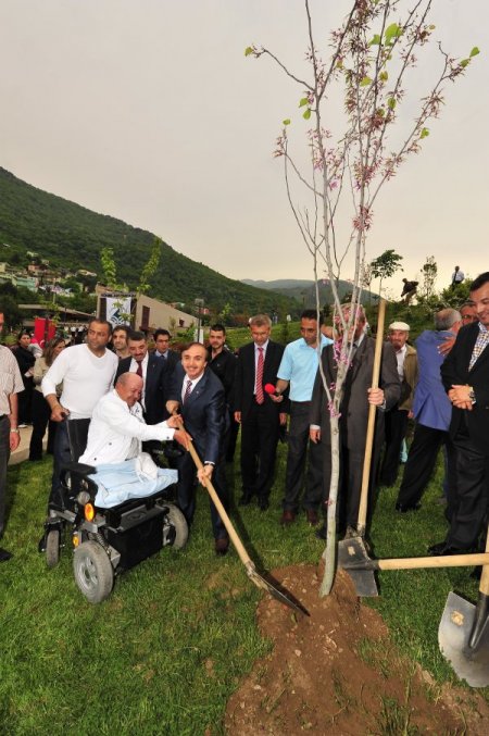 Yıldırım’da Erguvan Çiçekleri Açtı
