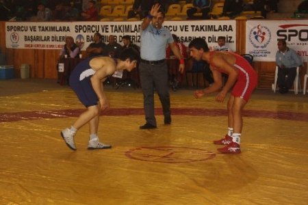 Yıldızlar Serbest Stil Türkiye Şampiyonası sona erdi