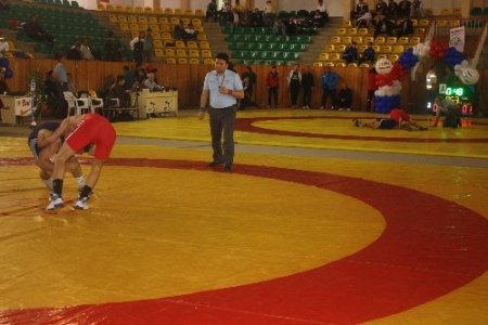 Yıldızlar Serbest Stil Türkiye Şampiyonası sona erdi