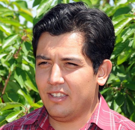 Yılın İlk Kiraz Hasadı Manisa'nın Sancaklı Bozköy Beldesinde Başladı