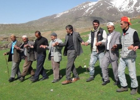 Yılladır silah seslerinin eksik olmadığı yaylalarda artık koyun sesleri var