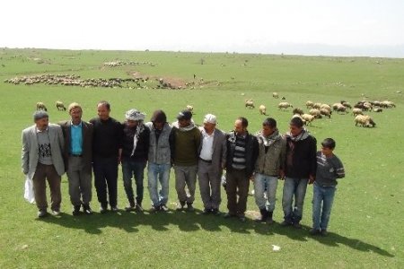 Yılladır silah seslerinin eksik olmadığı yaylalarda artık koyun sesleri var