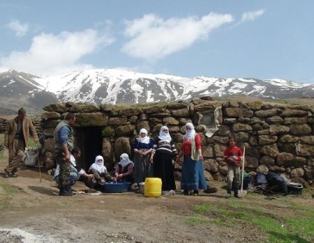 Yılladır silah seslerinin eksik olmadığı yaylalarda artık koyun sesleri var