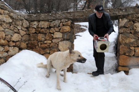 Yiyecek arayan köpeğin kafası tenekeye sıkıştı