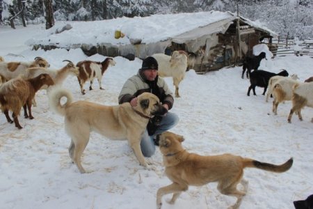 Yoğun kar yağışı Kazdağları'nda ulaşımı çileye döndürdü