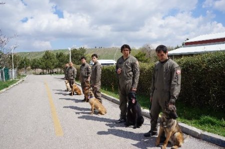 Yoğun mesai yapan polis köpeklerine psikolojik destek veriliyor (Özel)
