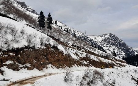 Yol Açma Çalışması Yapan Dozer Şarampole Yuvarlandı