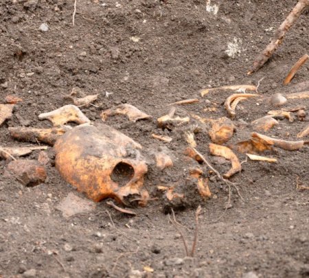 Yol genişletme çalışmasında iskelet bulundu