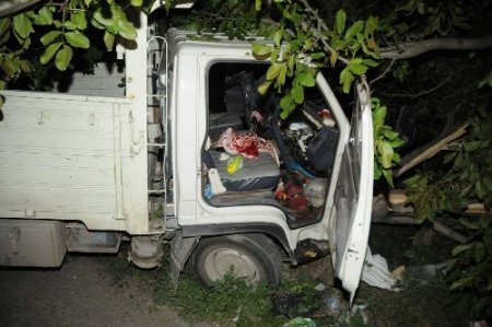 Yol kenarındaki ağaca çarptı, kamyonet içinde sıkıştı