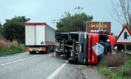 Yola Devrilen Yem Yüklü Tır'dan Yara Almadan Kurtuldu