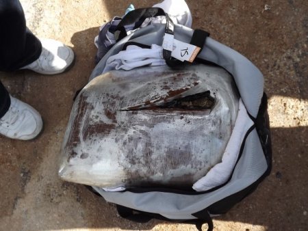 Yolcu otobüslerinde 6 kilo esrar ve 6 bin paket kaçak sigara yakalandı