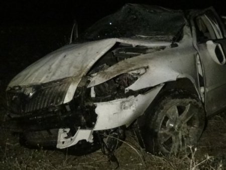 Yoldaki başıboş eşek sürüsü kazaya neden oldu: 1 ölü, 7 yaralı