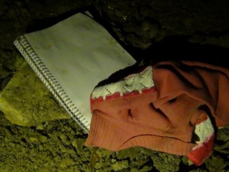 Yoldaki başıboş eşek sürüsü kazaya neden oldu: 1 ölü, 7 yaralı