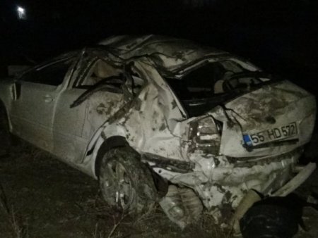 Yoldaki başıboş eşek sürüsü kazaya neden oldu: 1 ölü, 7 yaralı