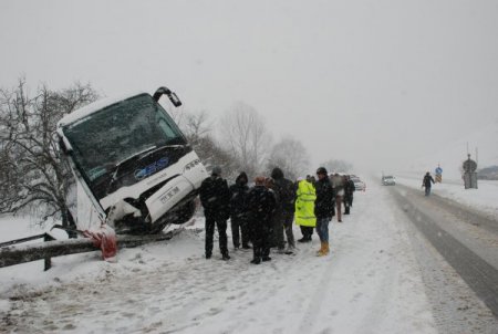 Yoldan Çıkan Yolcu Otobüsü, Ağaca Çarpınca Devrilmekten Kurtuldu