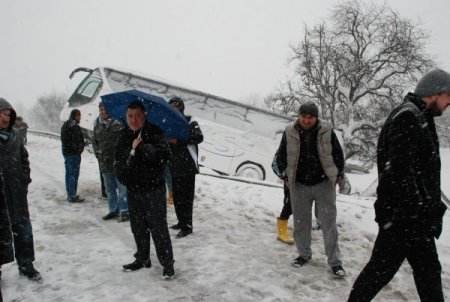 Yoldan Çıkan Yolcu Otobüsü, Ağaca Çarpınca Devrilmekten Kurtuldu