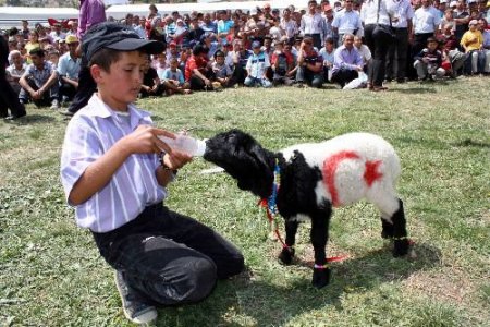 Yörükler Hacıalanı Yaylası'ndaki Şenlikte Buluştu