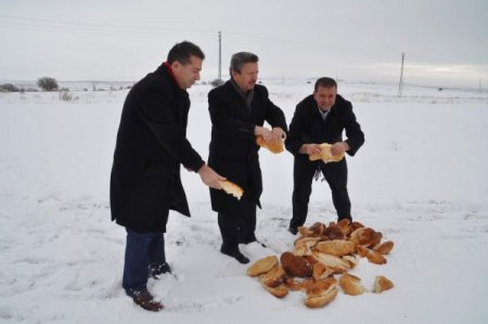 Yozgat Belediyesi, sokak ve yaban hayvanları için doğaya yiyecek bıraktı