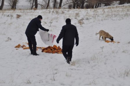 Yozgat Belediyesi, sokak ve yaban hayvanları için doğaya yiyecek bıraktı