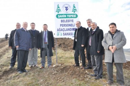 Yozgat Belediyesi Şahin Tepesi'nde 90 dönümlük alanı ağaçlandırdı