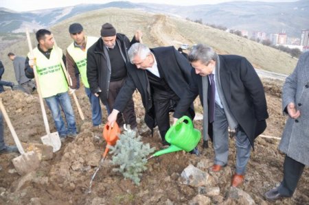 Yozgat Belediyesi Şahin Tepesi'nde 90 dönümlük alanı ağaçlandırdı