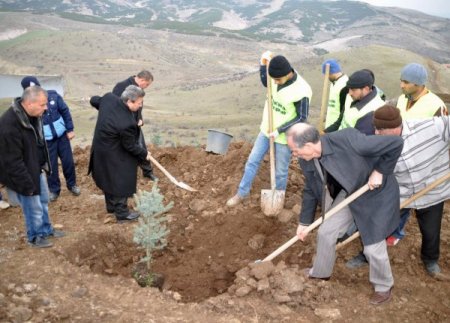 Yozgat Belediyesi ve Milli Eğitim Müdürlüğü 6 bin fidanı toprakla buluşturdu