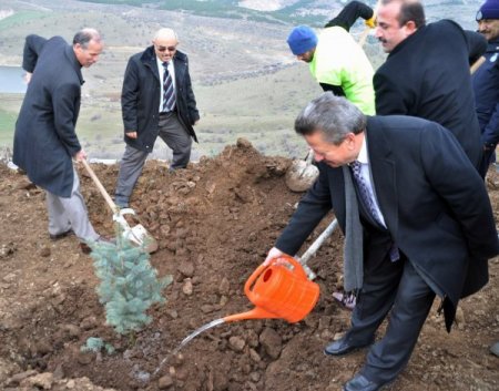 Yozgat Belediyesi ve Milli Eğitim Müdürlüğü 6 bin fidanı toprakla buluşturdu