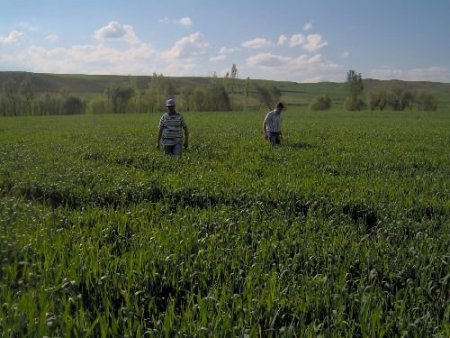 Yozgat Sağlık Müdürü Uyanık'tan Çiftçilere Uyarı: Öğle Güneşinde Tarlada Çalışmayın