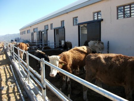 Yozgat TKDK, 12 üreticiye 7 milyon TL hibe desteği ödedi