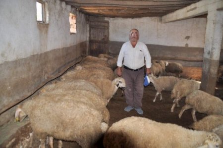 Yozgat Ziraat Odası Başkanı: Kurbanlık fiyatları düşmez