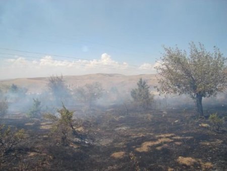 Yozgat'ta 100 Dönümlük Orman Yandı