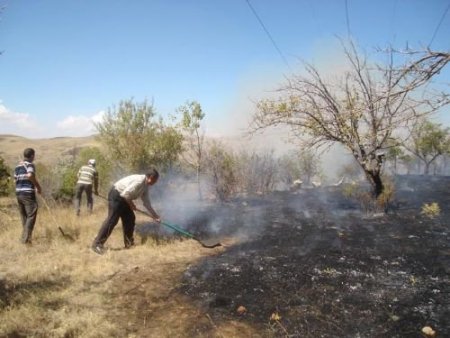 Yozgat'ta 100 Dönümlük Orman Yandı