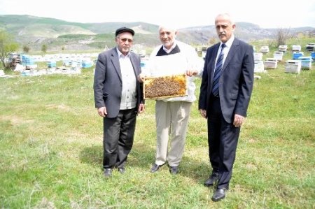 Yozgat'ta arılar ilkbahar bakımı yapılarak yaylıma çıkarıldı